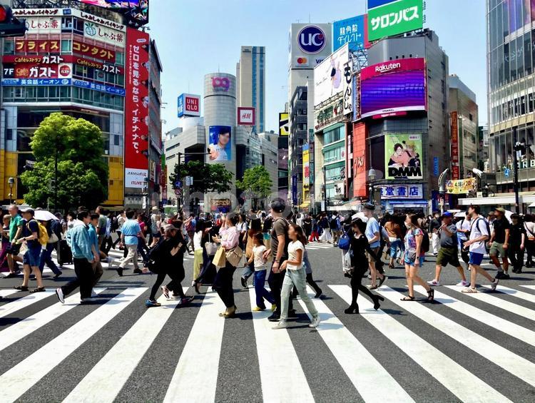インバウンドな渋谷交差点 shibuya,crossing,渋谷の写真素材