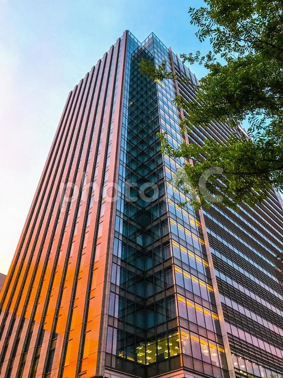 夕日に照らされたビル群 オフィス,ガラス製品,スカイラインの写真素材