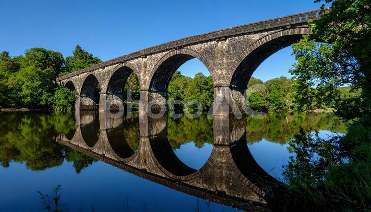 橋 橋,ブリッジ,建造物の写真素材