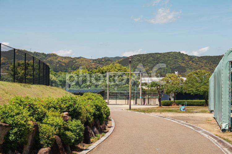 新緑に包まれた山崎運動公園の散策路 山崎運動公園,三重県,熊野市の写真素材