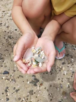 砂浜で貝拾い　シーグラス　夏 貝殻,シーグラス,砂浜の写真素材