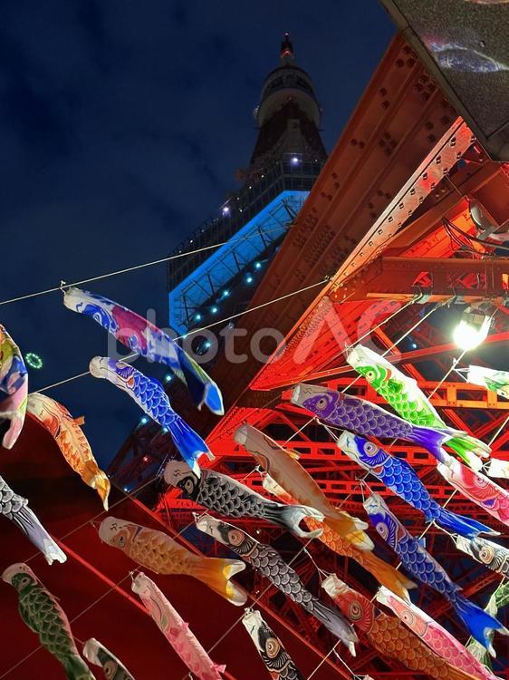 東京タワーと鯉のぼり 東京タワー,鯉のぼり,子供の日の写真素材