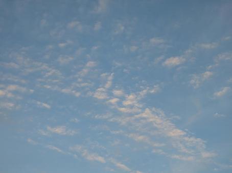 青空に広がる夕陽に輝く雲群 雲,空,青空の写真素材