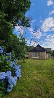 アジサイとノルマンディーの館 海,空,晴天の写真素材