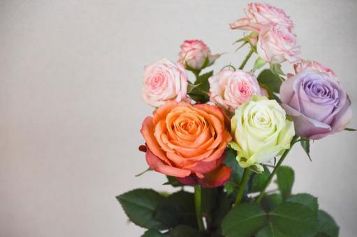 カラフルなばらの写真