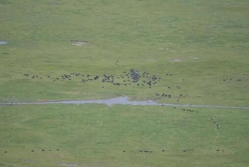 アフリカタンザニアのンゴロンゴロ保全地域 ンゴロンゴロ,アフリカ,タンザニアの写真素材