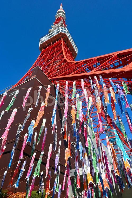 東京タワーと色鮮やかな多数の鯉のぼり 東京タワー,鯉のぼり,こどもの日の写真素材