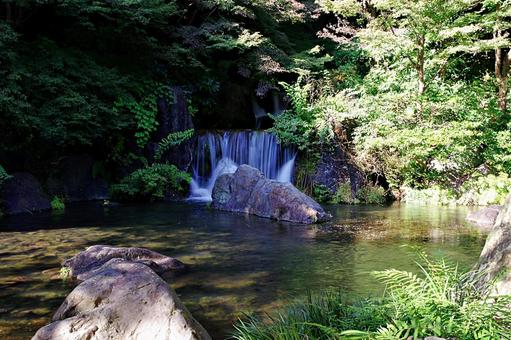 森の中の小滝 森の中の小滝 小滝,落水,滝の写真素材