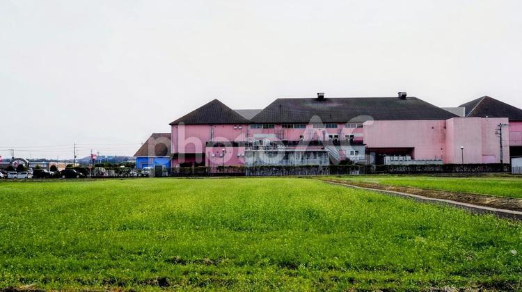 春の田園＆街並み・深谷市の郊外（埼玉県） 春,田園,草地の写真素材