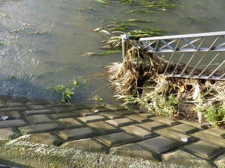 大雨の後、浸水した河川敷まで続く階段 川,河川,水の写真素材