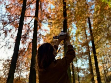 紅葉とカメラマン 紅葉,木々,葉っぱの写真素材