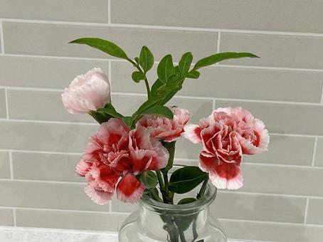 花瓶 カーネーション 花瓶 カーネーション フラワーアレンジメント,母の日,花の写真素材