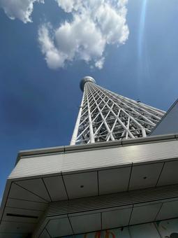 Skytree, JPG Skytree, JPG