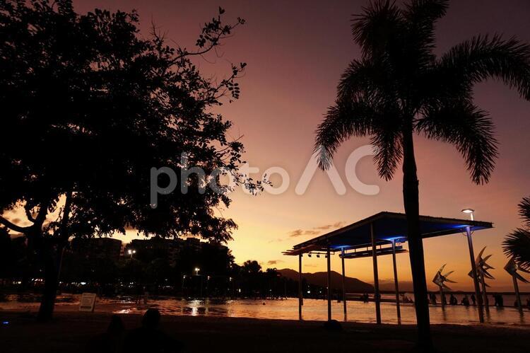 オーストラリアの公園の夕景 オーストラリア,リゾート,夕景の写真素材