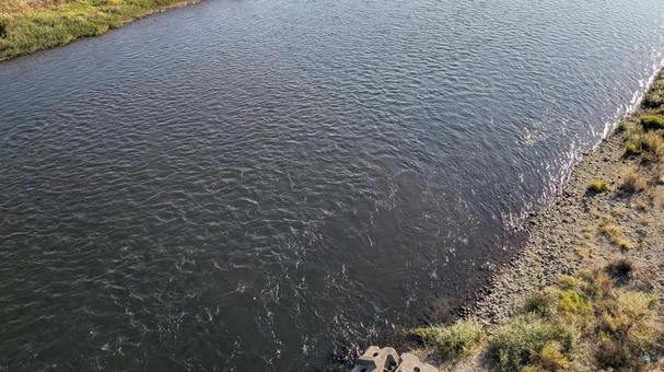 大河 川の流れ 大河,川,河川の写真素材