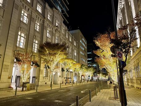 神戸旧居留地　イルミネーション 風景,景観,神戸の写真素材