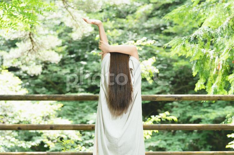 森の中でストレッチする女性 ストレッチ,森,健康の写真素材