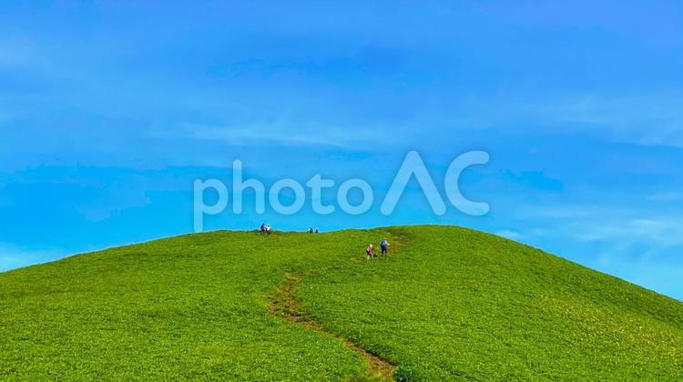 ビーナスライン・三峰山（19） ビーナスライン,三峰山,夏の写真素材
