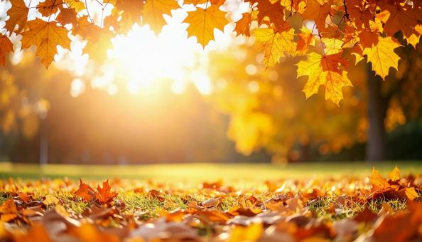 秋のイメージの背景画像 紅葉 野原 秋のイメージの背景画像 紅葉 野原の写真