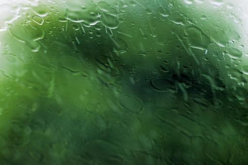 水滴_グリーン 水滴_グリーンの写真