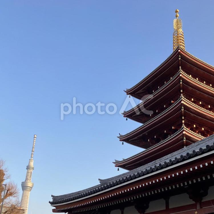 スカイツリーと五重塔 スカイツリー,寺,五重塔の写真素材