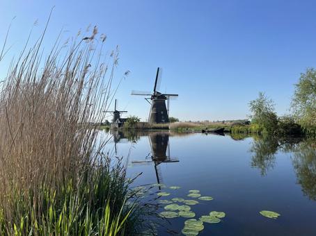 キンデルダイク＝エルスハウトの風車網 キンデルダイク,風車,オランダの写真素材