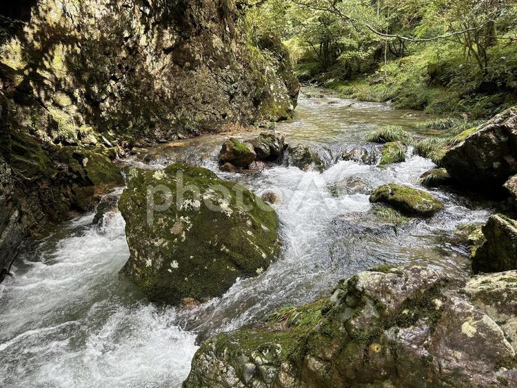 ゆっくりと 自然,渓流,川の写真素材