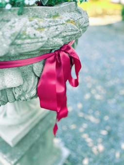 赤いリボンの写真