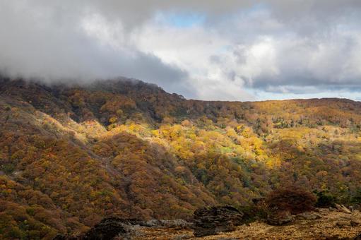 蔵王の紅葉(22) 蔵王,紅葉,黄葉の写真素材