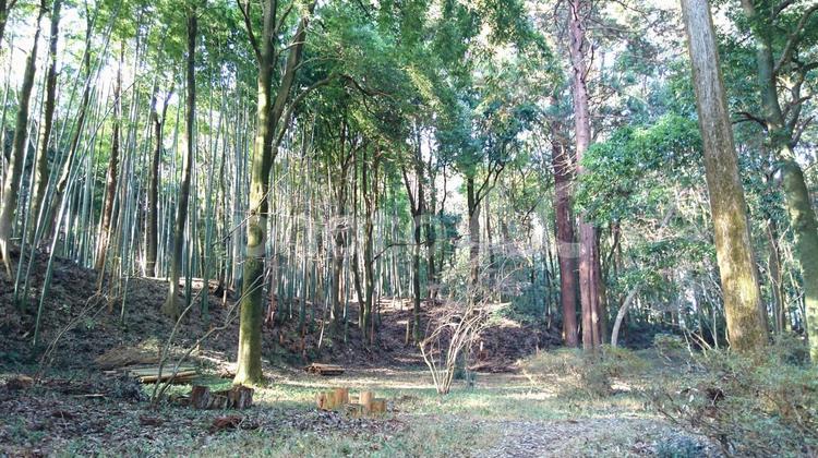 小幡城の本丸跡 本丸,古城,跡の写真素材