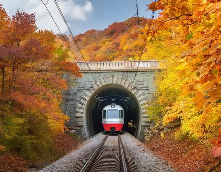 トンネルの写真
