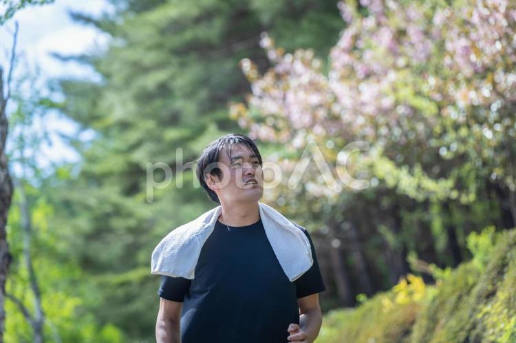 ウォーキングする男性 ウォーキング,有酸素運動,歩くの写真素材