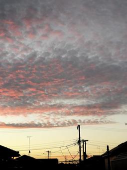 夕焼けのうろこ雲 夕焼けのうろこ雲の写真