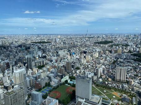 池袋サンシャインから見たスカイツリー 池袋サンシャインから見たスカイツリーの写真