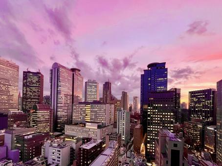 高層ビル群のピンク色の夕暮れ 高層ビル群のピンク色の夕暮れ 高層ビル,ビル,都心の写真素材