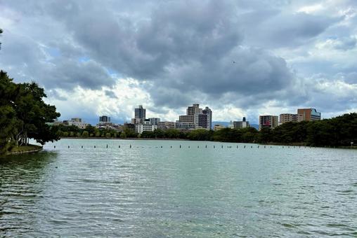 大濠公園 大濠公園 大濠公園,池,公園の写真素材