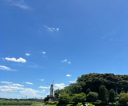 照片, 風車, 天空, 晴天, 