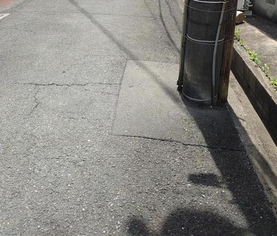 散歩道 散歩道の写真