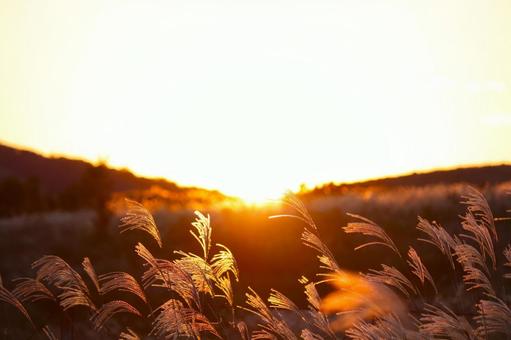 夕焼け 夕焼けの写真