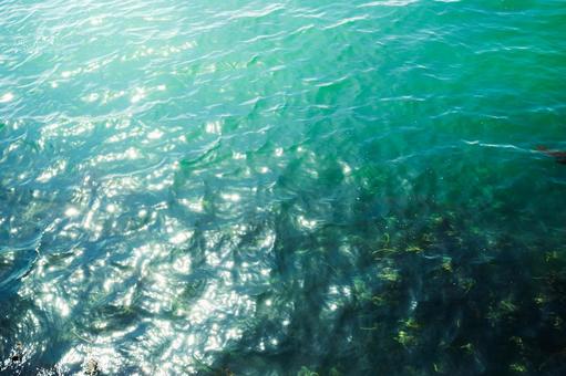 海面 海面の写真