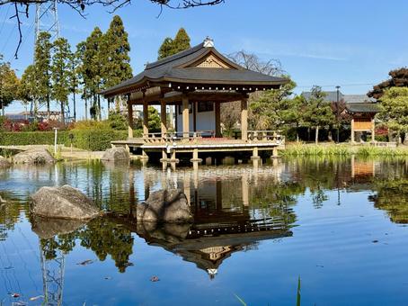 秋の昼間の紫式部公園　11月　紅葉 11月,昼間,カラフルの写真素材