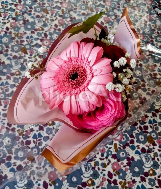 花　フラワー　ピンク　別角度 花,フラワー,かわいいの写真素材