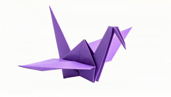 紫色の折り鶴 折り紙 (背景透過) 紫色の折り鶴 折り紙 (背景透過)の写真