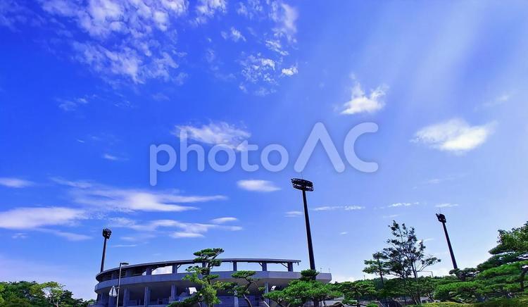 真夏の青空と野球場/浜山公園 浜山野球場,野球場,夏の写真素材