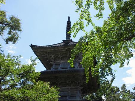新潟県-五智国分寺-三重塔-近景 新潟県-五智国分寺-三重塔-近景の写真