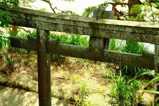 鳥居（松島） 鳥居,松島,仙台の写真素材