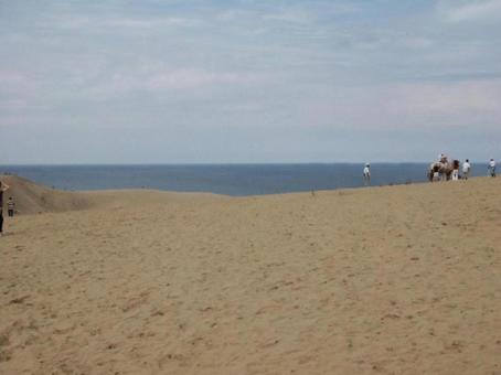 【風景写真】鳥取砂丘の風景 砂丘,砂,鳥取砂丘の写真素材