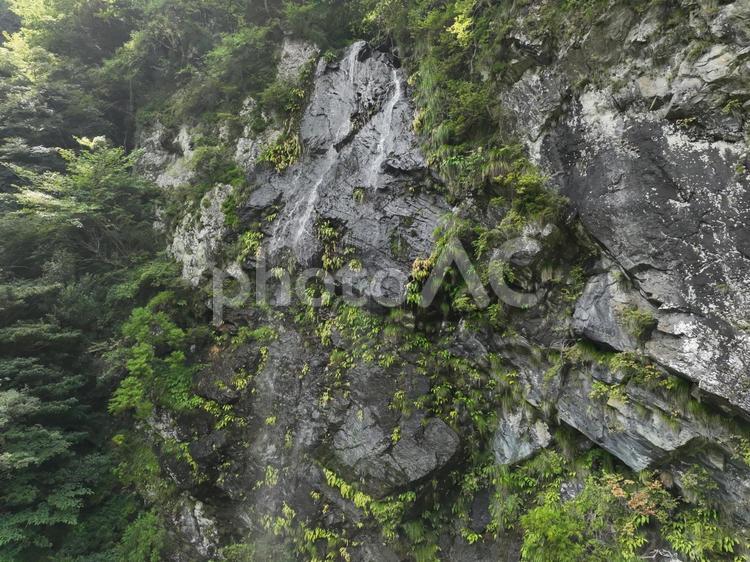 愛媛県西条市　大樽の滝 大樽の滝,七色の滝,滝の写真素材