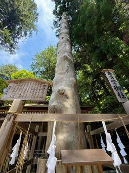 Photo, suwa big society, boss, haruhi palace, 