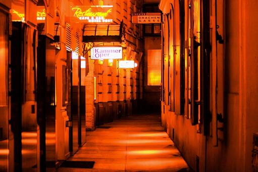 ウィーン路地ネオン街 路地,夜景,ネオンの写真素材